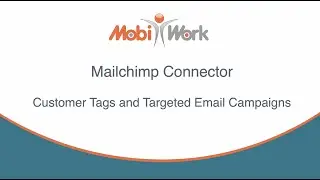 Mailchimp Connector: Customer Tags and Targeted Email Campaigns