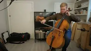 Mason Violins: 2024 Goffriller Cello Model