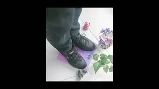 PF02