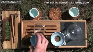 Brewing Yellow Tea in a Gaiwan