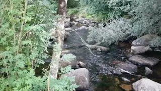 Walk at River Dart Dartmeat Dartmoor Aug 2022