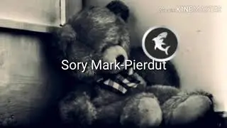 sory marky-pierdut