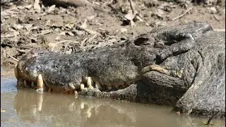 Yellow Water Cruise, Kakadu