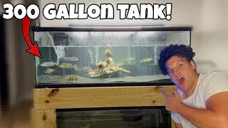 Adding Sand to My 300 Gallon Aquarium (Tank Upgrade Progress)