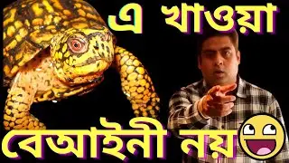 The Yellow Turtle | The Best Combo | The Vlogical Bong | Kolkata Best Combo | Best Cafe in Kolkata