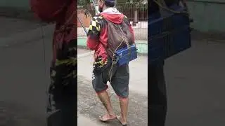 KEGANASAN PDC SUSAN 1030SMP,,AUTO PANEN IKAN NILA ..#Pdc #setrumer #susan 1030smp