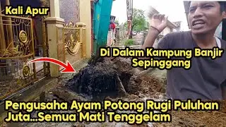Ayam Mati Kebanjiran || Pengusaha Rugi Puluhan Juta || Normalisasi Kali Apur