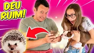 PRIMEIRO ENCONTRO DA NOSSA CACHORRINHA ZOE COM NOSSO HEDGEHOG SPIKE - ROTINA PET