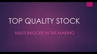 TOP QUALITY STOCK - MULTI BAGGER IN THE MAKING