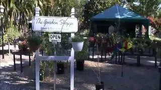 Visit Florida Rep and the Fort Myers River District!