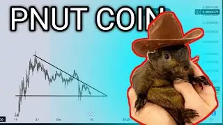 Pnut Coin Price PREDICTION | Pnut Technical Analysis | Pnut latest News 25 dec