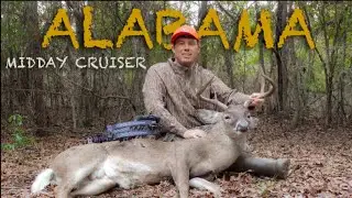 BOWHUNTING  midday Bucks between DOE Bedding