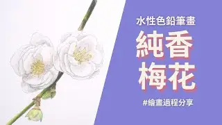 水性色鉛筆畫純香梅花｜繪畫過程分享
