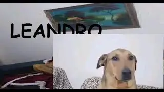 leander