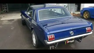 1965 mustang 289 touch up came out great 👍#classiccars #musclecar #hotrods #ford #gt500 #projectcar
