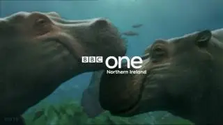 BBC One Northern Ireland - Continuity Announcement - 6th October 2016