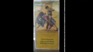 pasodoble 