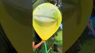 emoji |shark big balloon 😍 #balloon #balloons #learncolors #bigballoon #emoji #shark #funny #colors
