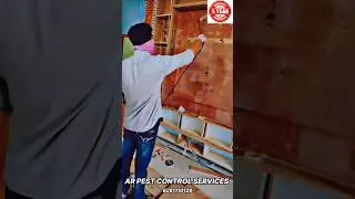 AR PEST CONTROL 6281110126  #1million #construction #pestcontrol  #pestmanagement #pestprevention