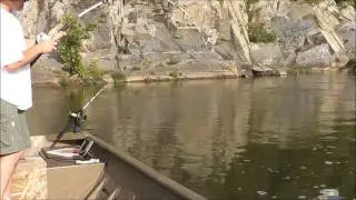Big Blue Catfish on Potomac River