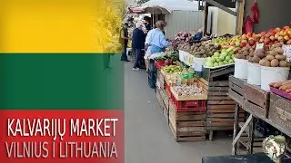 Walking Through Kalvarijų Market | Vilnius, Lithuania