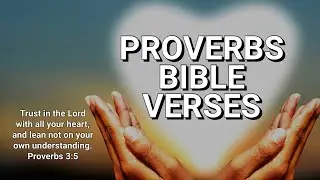 PROVERBS BIBLE VERSES. WISDOM FROM GOD🙏❤️🙏  #proverbs  #bibleverses  #wisdomfromgod