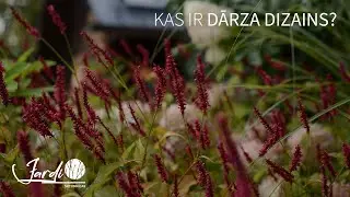 DĀRZA DIZAINS