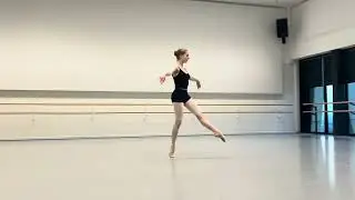 NDT Summer intensive audition