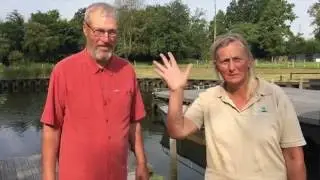 Affaldsindsamling