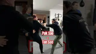 🟢Pak Sao + Tan Sao #paksungbo #selbstverteidigung #jeetkunedo #wingchun #wingtzun #wingtsun #kungfu