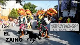 Son El Zaino