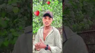 #hindi #song #video #reels