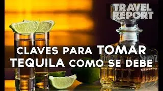 Descubre como tomar tequila