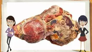 Interesting Music Video Book For Kids About Rocks