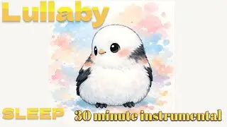 Long Tailed Tits Lullaby （instrumental 30min)
