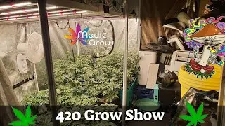 420 Sunday Grow Show . Join up