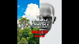 The Grey Agenda: How Society is Being Desaturated & Controlled