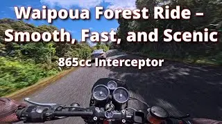 Fast and Scenic Ride Through Waipoua Forest | 865cc Royal Enfield Interceptor