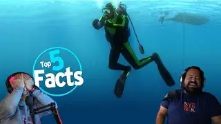 DIVERS REACT TO TOP 5 SCUBA DIVING FACTS