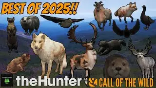 ITsHoss35&rsquo;s BEST Moments of 2025!!! | theHunter: Call of the Wild