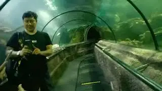 Kita ke seaworld dulu guys