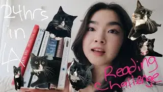 24 hour reading challenge in LA while cat sitting a grumpy cat