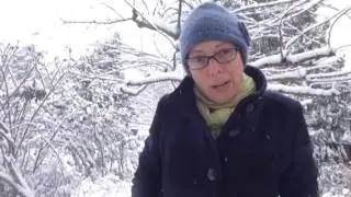 Dream Song 28: Snow Line, by John Berryman