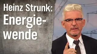 Experte für Energiewende Heinz Strunk | extra 3 | NDR