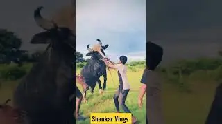 oo lacha gumadi song video #sadar sadar festival soon #hyderabad #yadav #shorts #explore #viral