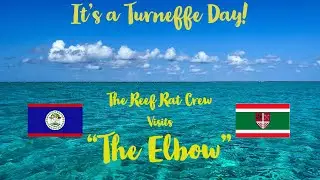 It's a Turneffe Day!