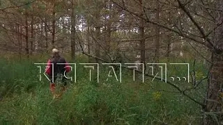 Бесплатные участки многодетным семья и семьям участников СВО дали в непролазном лесу