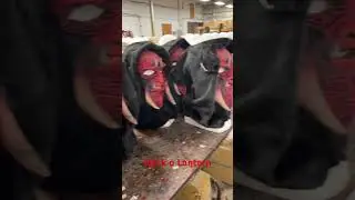 Hooded Fear