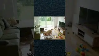 #amazingkid 😬😂
