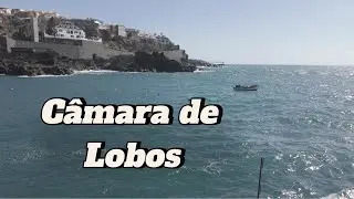 Madera - Câmara de Lobos | ZNOŚNIE